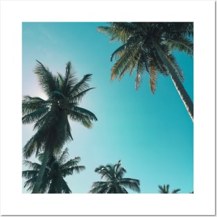 Blue sky and palm trees Posters and Art
